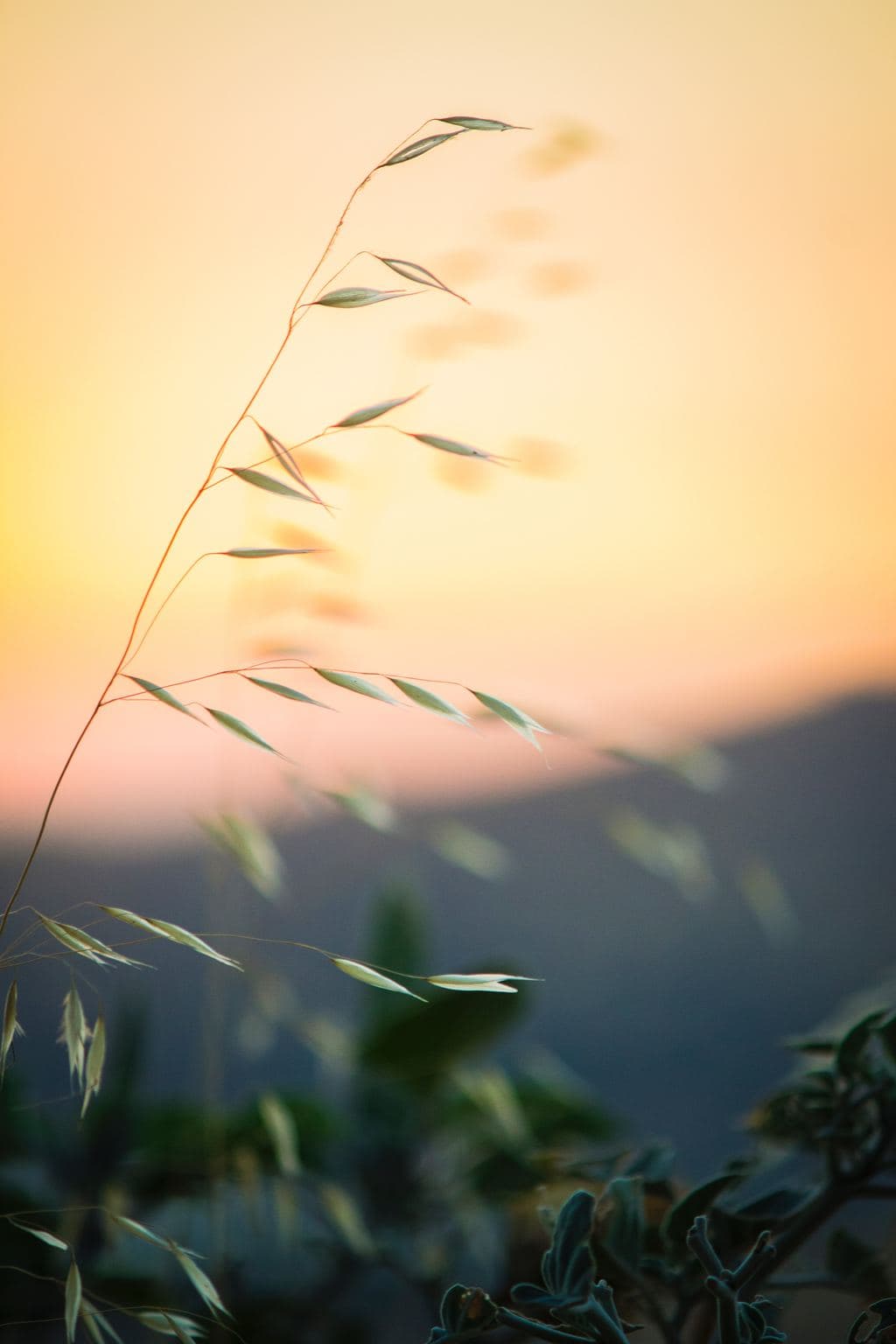 elijah-hiett-Ydj_lckko4M-unsplash
