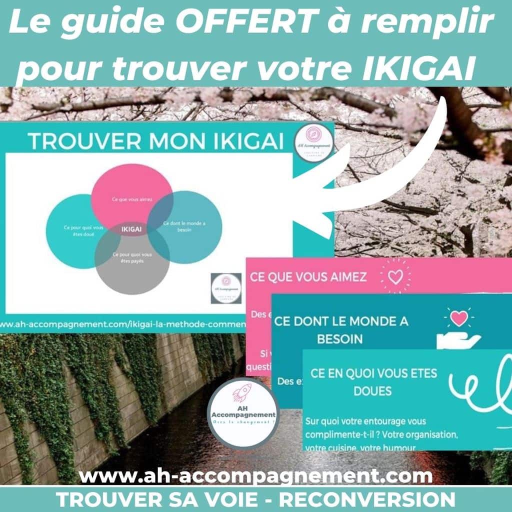 GUIDE OFFERT TROUVER MON IKIGAI A REMPLIR