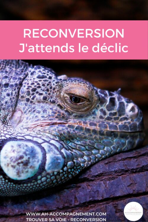 RECONVERSION j'attends le déclic
