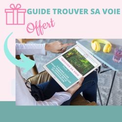 GUIDE OFFERT AH 2