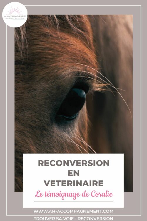 reconversion veterinaire temoignage