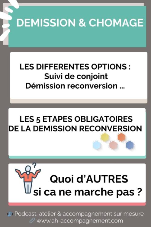 infographie demission et chomage, demission reconversion